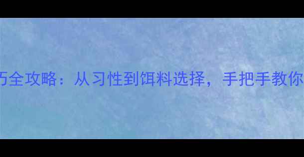图片 野钓鲶鱼实战技巧全攻略：从习性到饵料选择，手把手教你轻松捕获大鲶鱼2