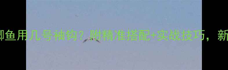 图片 钓一斤的鲫鱼用几号袖钩？附精准搭配+实战技巧，新手必看！2