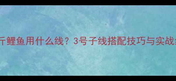 图片 钓三四斤鲤鱼用什么线？3号子线搭配技巧与实战经验全1