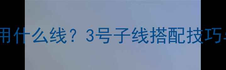 图片 钓三四斤鲤鱼用什么线？3号子线搭配技巧与实战经验全2