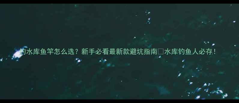 图片 钓水库鱼竿怎么选？新手必看最新款避坑指南✨水库钓鱼人必存！