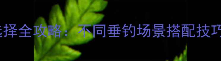 图片 钓鱼线号数选择全攻略：不同垂钓场景搭配技巧与选购要点2