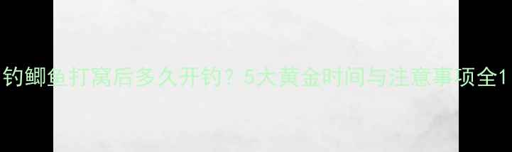 图片 钓鲫鱼打窝后多久开钓？5大黄金时间与注意事项全1
