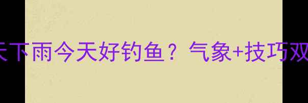 图片 雨天钓鱼全攻略：昨天下雨今天好钓鱼？气象+技巧双指南（附实战案例）1