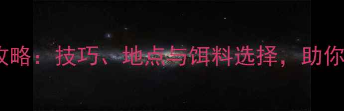 图片 雨天钓鲫鱼全攻略：技巧、地点与饵料选择，助你雨季稳抓大鱼2