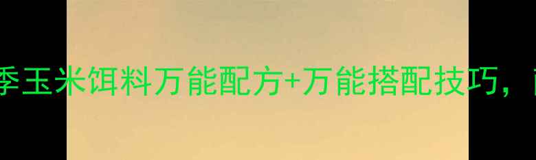 图片 零基础必看！冬季玉米饵料万能配方+万能搭配技巧，南方北方通吃！1