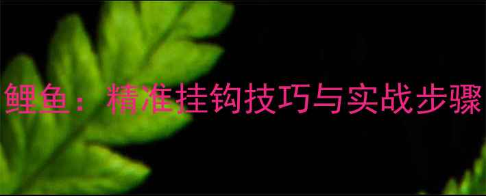 图片 颗粒钓法钓鲤鱼：精准挂钩技巧与实战步骤（附图解）