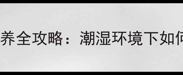 图片 高碳鱼竿防潮保养全攻略：潮湿环境下如何延长使用寿命1