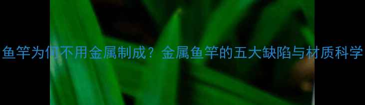 图片 鱼竿为何不用金属制成？金属鱼竿的五大缺陷与材质科学