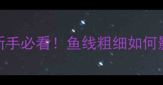 图片 鱼线粗细选择全：新手必看！鱼线粗细如何影响渔获与鱼情判断