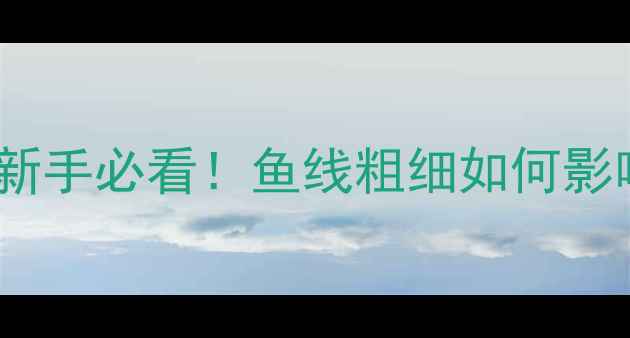 图片 鱼线粗细选择全：新手必看！鱼线粗细如何影响渔获与鱼情判断2