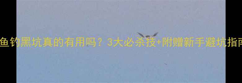 图片 鱿鱼钓黑坑真的有用吗？3大必杀技+附赠新手避坑指南1