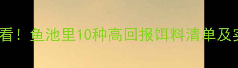 图片 鲤鱼垂钓必看！鱼池里10种高回报饵料清单及实战技巧全2
