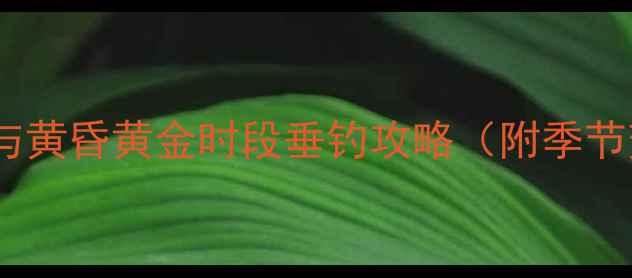 图片 鲤鱼摄食规律全：清晨与黄昏黄金时段垂钓攻略（附季节变化与饵料选择技巧）1