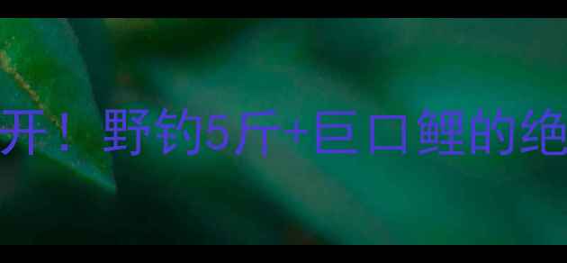 图片 鲤鱼背鳍绑线法大公开！野钓5斤+巨口鲤的绝杀技巧，新手必看！