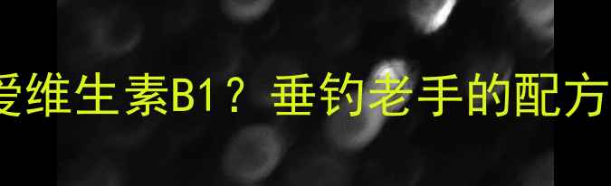 图片 鲫鱼为何偏爱维生素B1？垂钓老手的配方与实战技巧1