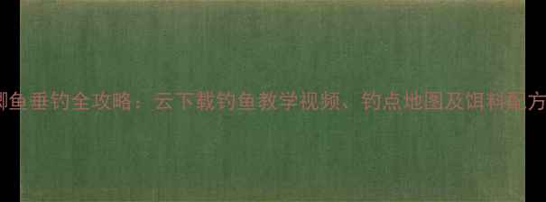 图片 鲫鱼垂钓全攻略：云下载钓鱼教学视频、钓点地图及饵料配方1