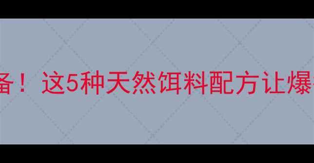 图片 鲫鱼垂钓必备！这5种天然饵料配方让爆护不是梦🎣1