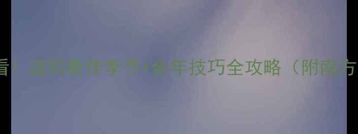 图片 鲫鱼垂钓必看！逗钓最佳季节+全年技巧全攻略（附南方北方差异）1