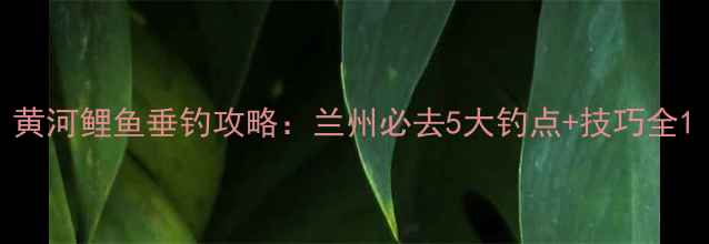 图片 黄河鲤鱼垂钓攻略：兰州必去5大钓点+技巧全1