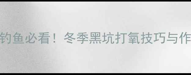图片 黑坑下雪钓鱼必看！冬季黑坑打氧技巧与作钓策略全