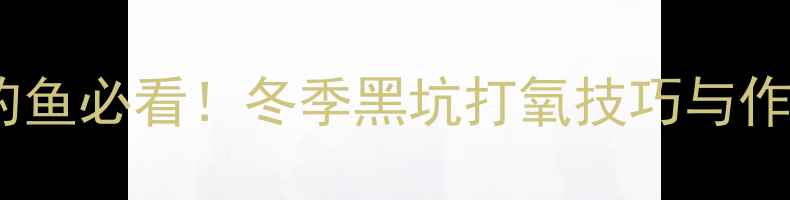图片 黑坑下雪钓鱼必看！冬季黑坑打氧技巧与作钓策略全1