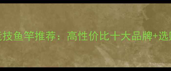图片 黑坑竞技鱼竿推荐：高性价比十大品牌+选购指南