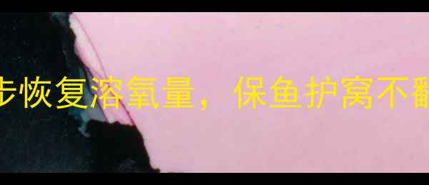 图片 黑坑缺氧急救指南：3步恢复溶氧量，保鱼护窝不翻车！钓鱼人必看干货1