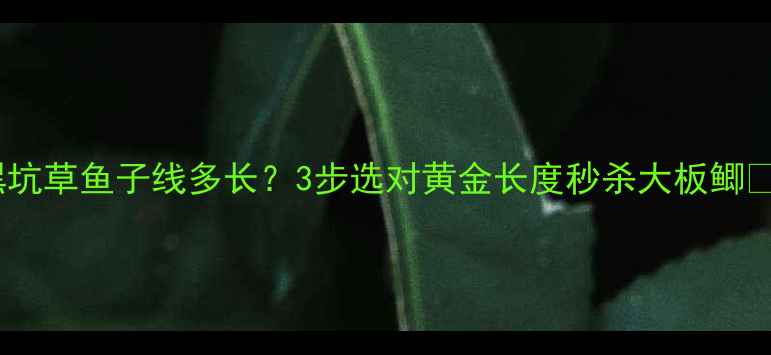 图片 黑坑草鱼子线多长？3步选对黄金长度秒杀大板鲫🎣1