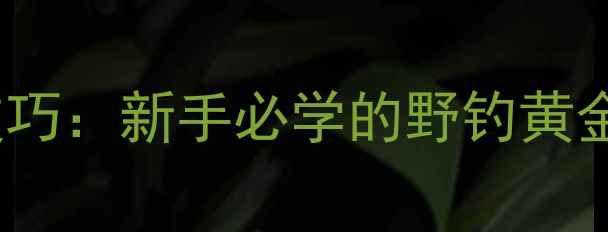 图片 黑坑野钓3号位实战技巧：新手必学的野钓黄金点位与饵料搭配攻略