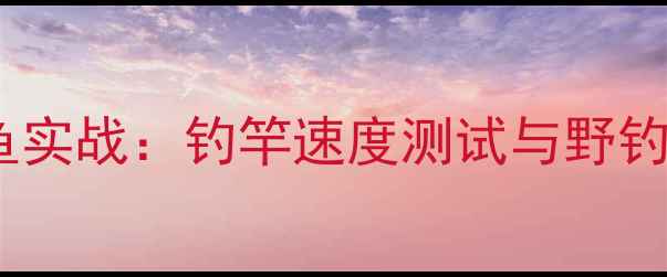 图片 黑坑钓鱼实战：钓竿速度测试与野钓技巧全1