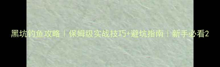 图片 黑坑钓鱼攻略｜保姆级实战技巧+避坑指南｜新手必看2