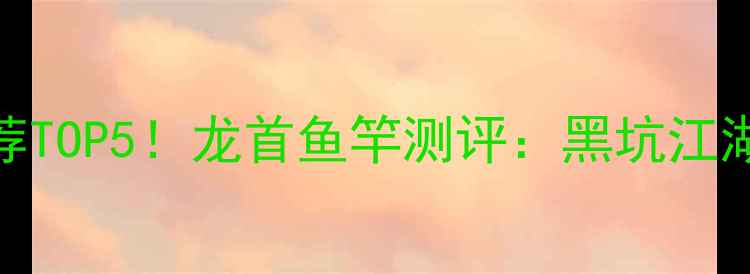 图片 黑坑鱼竿推荐TOP5！龙首鱼竿测评：黑坑江湖的终极武器