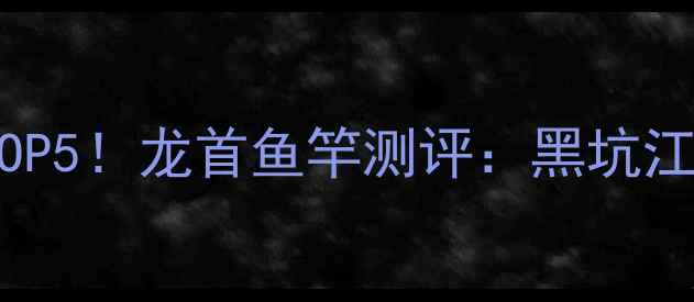 图片 黑坑鱼竿推荐TOP5！龙首鱼竿测评：黑坑江湖的终极武器1