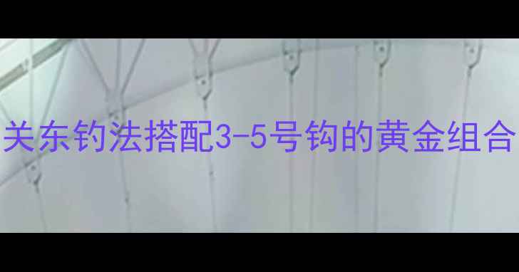 图片 黑坑鲤鱼必看！关东钓法搭配3-5号钩的黄金组合，新手闭眼跟学
