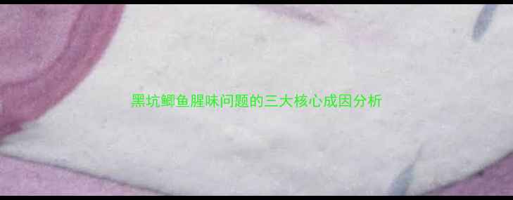 图片 黑坑鲫鱼腥味问题的三大核心成因分析