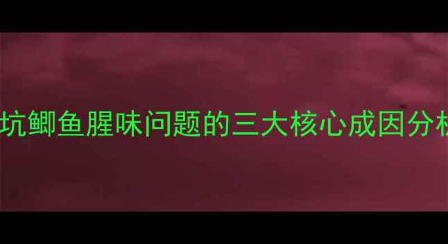 图片 黑坑鲫鱼腥味问题的三大核心成因分析2