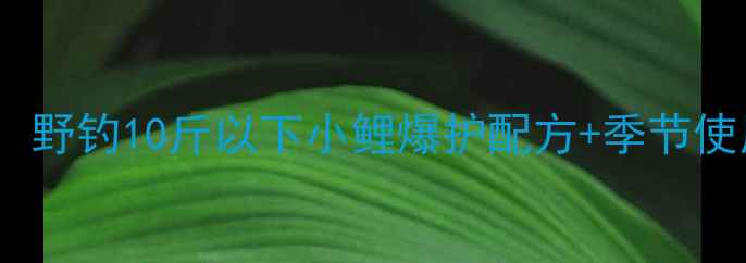 图片 龙魂小药钓鲤鱼全攻略：野钓10斤以下小鲤爆护配方+季节使用技巧（附视频演示）2