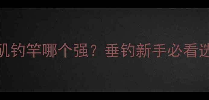 图片 🌊路亚竿VS矶钓竿哪个强？垂钓新手必看选竿全攻略🎣