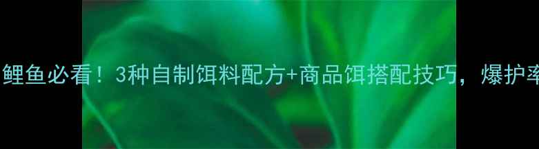 图片 🌞夏季钓鲤鱼必看！3种自制饵料配方+商品饵搭配技巧，爆护率翻倍！1