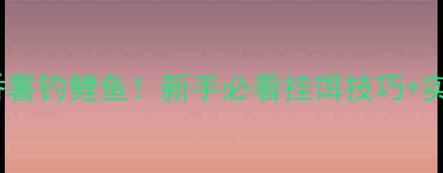 图片 🌟3步学会用番薯钓鲤鱼！新手必看挂饵技巧+实战经验分享🎣