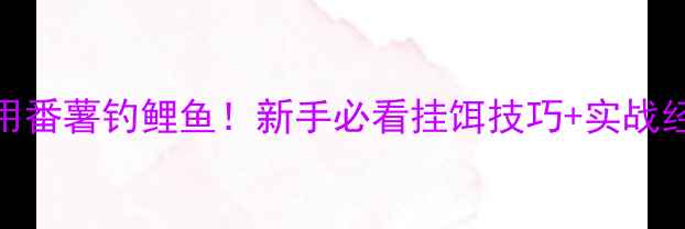 图片 🌟3步学会用番薯钓鲤鱼！新手必看挂饵技巧+实战经验分享🎣2