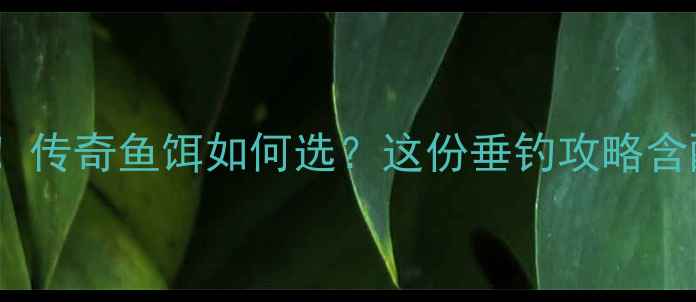 图片 🌟云南钓友必看！传奇鱼饵如何选？这份垂钓攻略含配方+实战技巧🎣