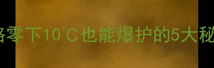 图片 🌟冬季路亚钓法全攻略零下10℃也能爆护的5大秘籍｜新手老手必看🌟2