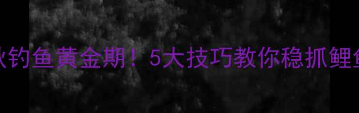 图片 🌟初秋钓鱼黄金期！5大技巧教你稳抓鲤鱼上钩
