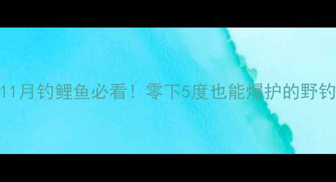 图片 🌟北方11月钓鲤鱼必看！零下5度也能爆护的野钓秘籍🌟