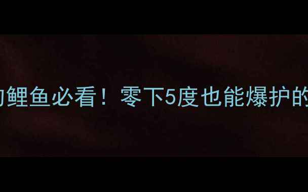 图片 🌟北方11月钓鲤鱼必看！零下5度也能爆护的野钓秘籍🌟1