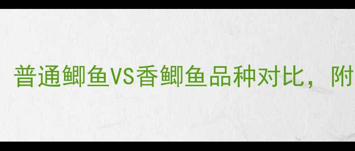 图片 🌟垂钓新手必看！普通鲫鱼VS香鲫鱼品种对比，附养殖技巧与钓法1