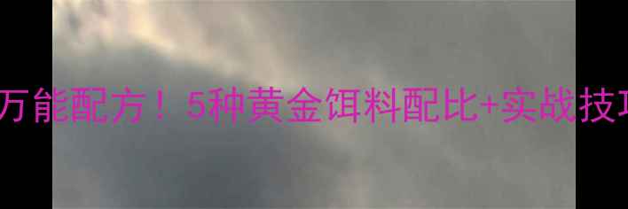 图片 🌟秋冬野钓鲫鱼万能配方！5种黄金饵料配比+实战技巧，新手必看！2
