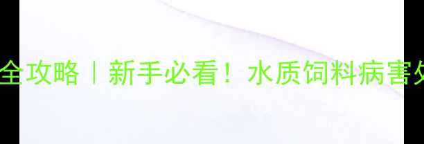 图片 🌟野生小鲫鱼养殖全攻略｜新手必看！水质饲料病害处理零失败技巧🐟2